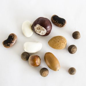 Mixed seed selection. Photo