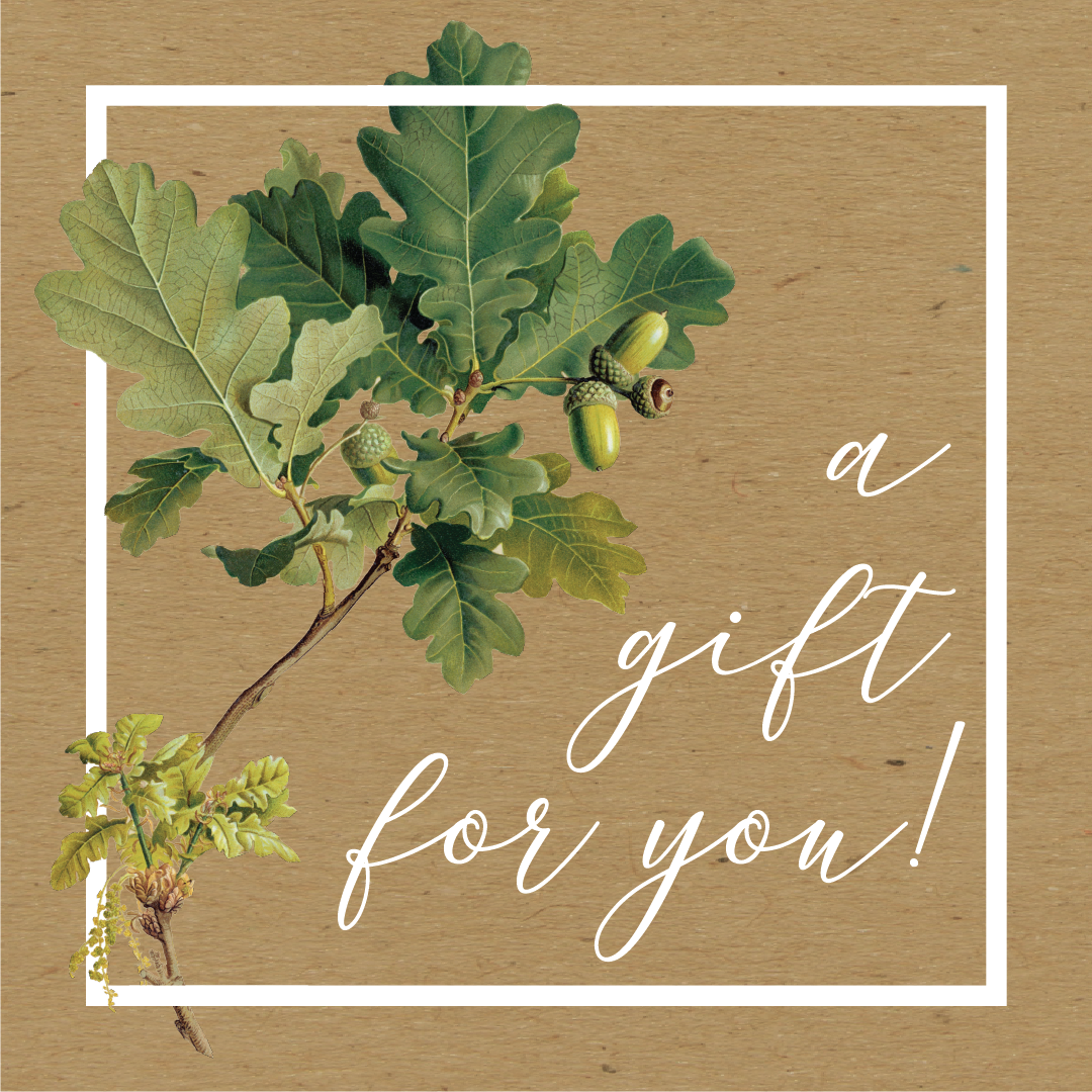 Gift card from Botanopia. Photo