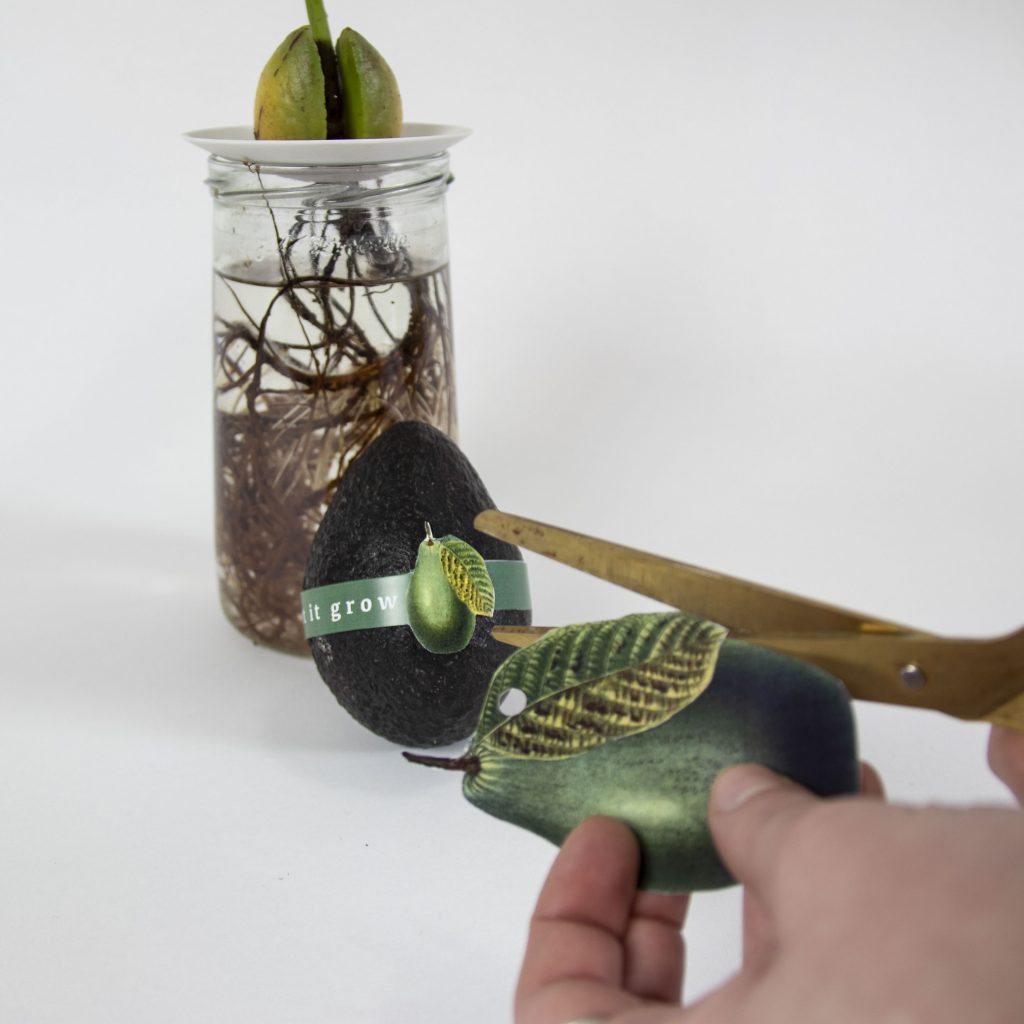 Avocado design cadeaulabel.