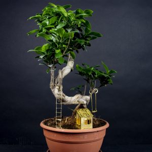 Messing klein boomhuis voor je planten.