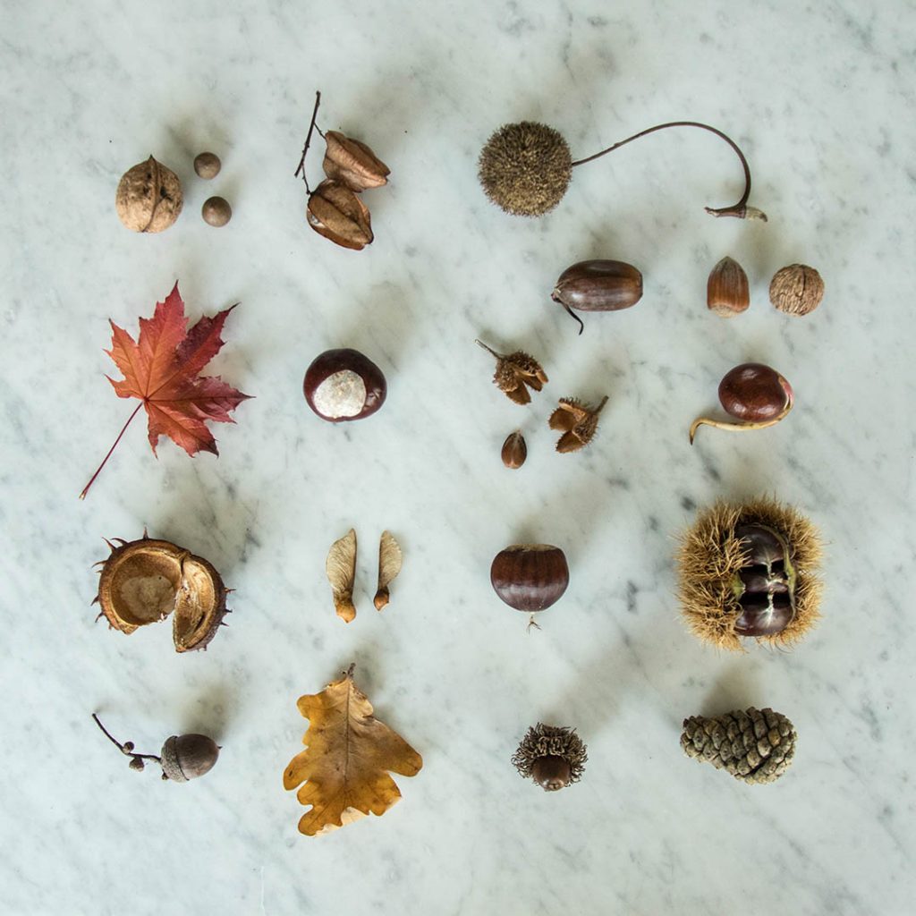 harvest in autumn