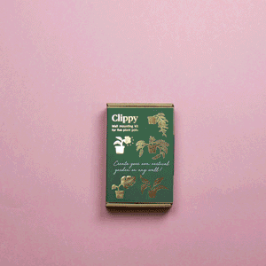 Unboxing Clippy Wandhängeset von Botanopia für Terrakotta-Pflanzentöpfe grüne Wand