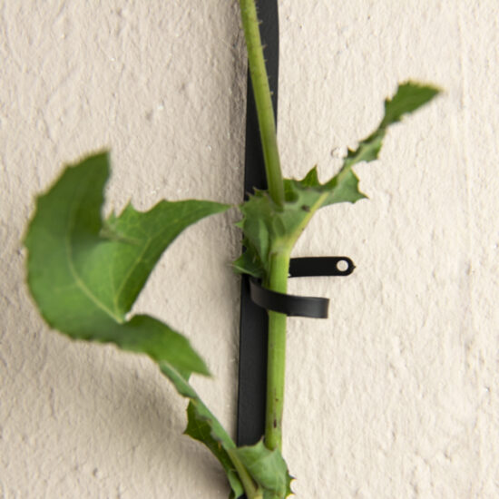 Botanopia.com Black chain support for climbing plants3