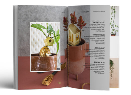 Click to browse our digital catalogue