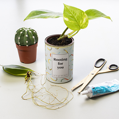 Turn your homegrown plants into pretty gifts.