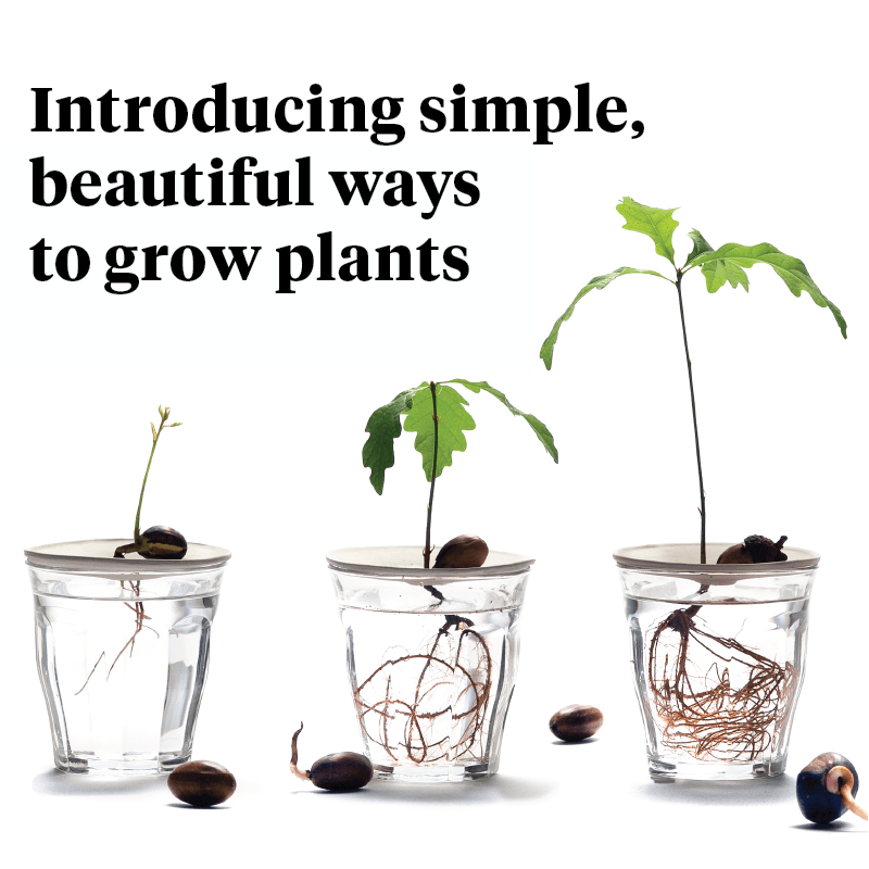 Plant products for plant people - Elevate your plant life - Botanopia