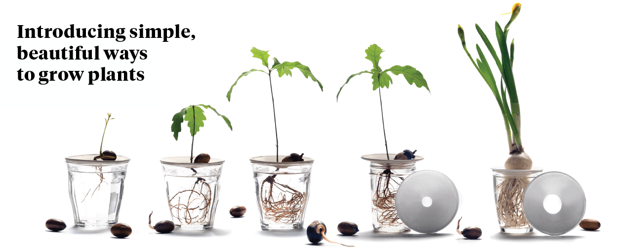 Introducing simple, beautiful ways to grow plants. Botanopia Propagation & Germination plates