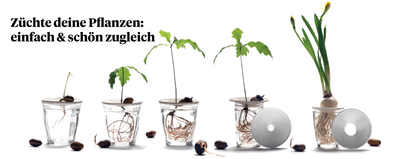 Botanopia Homepage Hauptfoto - Züchte deine Pflanzen:  einfach & schön zugleich