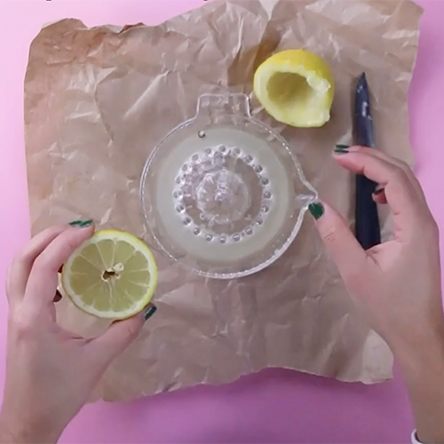 How to grow lemon seeds and citrus seeds into plants by Botanopia How to grow lemon seeds and citrus seeds into plants by Botanopia