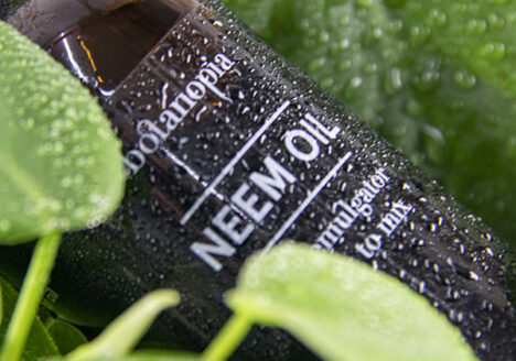 Huile de neem en bouteille de verre
