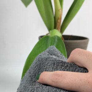 Cleaning plant with cloth