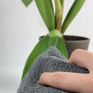 Plant schoonmaken met doek