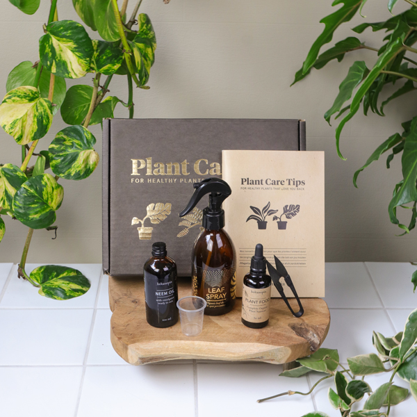 Plantenverzorgingskit in de jungle met all the producten blad spray fles, neem olie, plantenvoeding, maatbekertje, bonsai schaartje en plant care tips boek