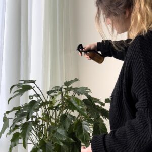 Meisje met neem-nevelspuitfles van Botanopia die plant bespuiten tegen ongedierte Meisje dat neemolie spuit op plant Botanopia