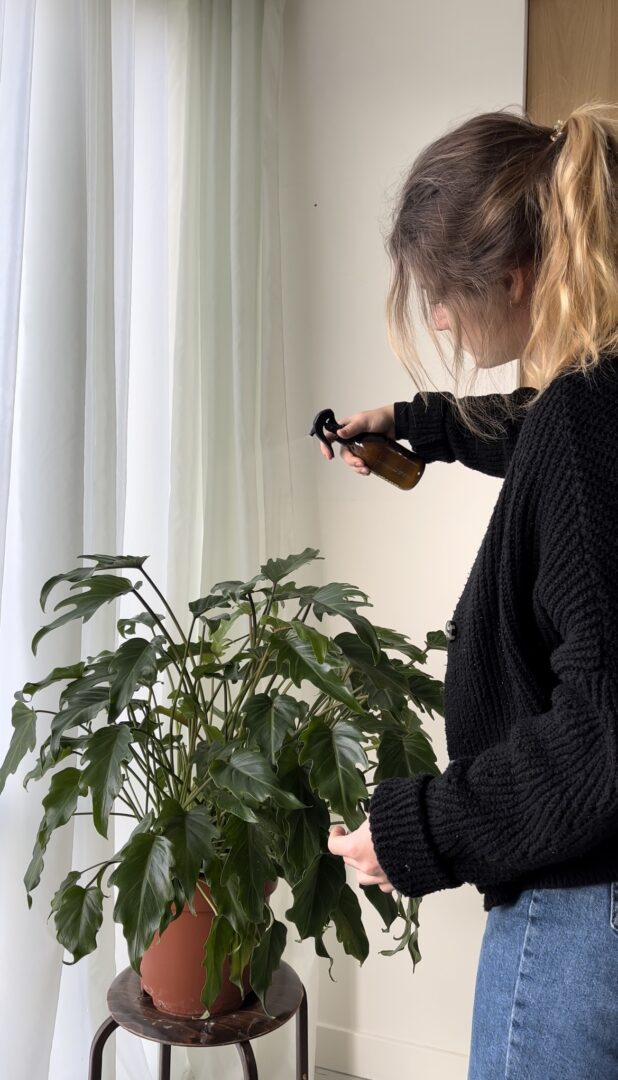 Mädchen mit Neem-Sprühflasche von Botanopia beim Besprühen von Pflanzen gegen Schädlinge