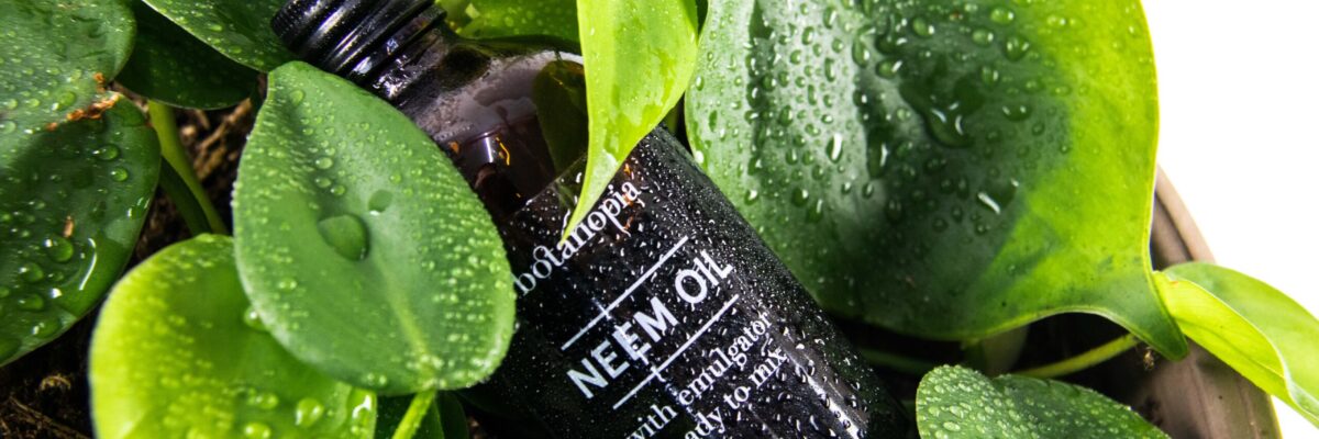 Neemolie in plantenpot Botanopia Neemolie in fles met plant van Botanopia