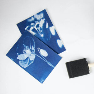 Cyanotype afgewerkte afdruk Botanopia Cyanotype afdrukken van bloemen en planten op witte achtergrond