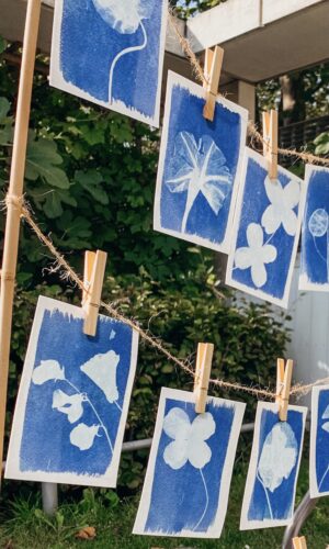 Cyanotypes in de zon Botanopia Cyanotype afdrukken buiten in de zon hangend aan touw
