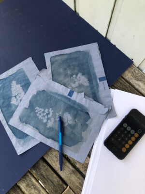 Cyanotype op enveloppe Botanopia Cyanotype afdrukken op blauwe enveloppen op werkruimte met telefoon en pen