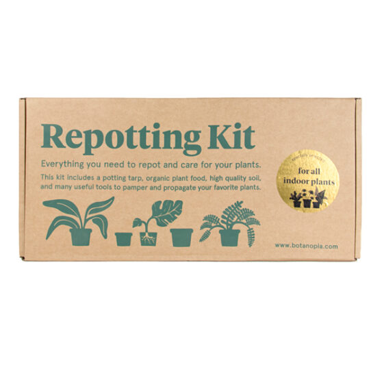 Repotting Kit For Your Indoor Plants Botanopia