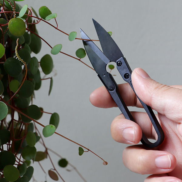 Pp Anti-Slip Grip Handle Pruning Shears Bonsai Scissors for Garden