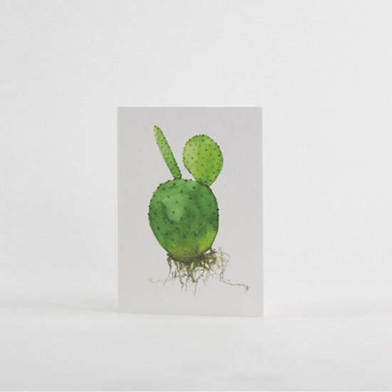 cactus cards by Botanopia