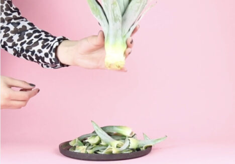 How to grow a pineapple from its crown by Botanopia