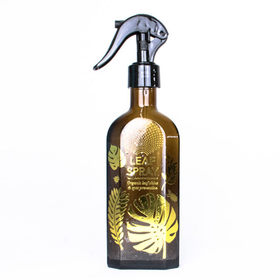 Glass leaf spray by Botanopia