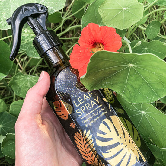 Glass leaf spray by Botanopia