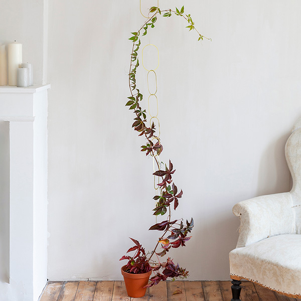 Hanging Brass Planter — Articulture Designs