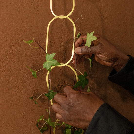 la treille en laiton doré pour tes magnifiques plantes grimpantes