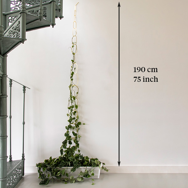 Gold Brass Chain - Plant Support for climbing plants - Botanopia