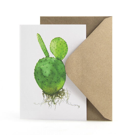 Carte postale motif cactus (Opuntia) avec enveloppe