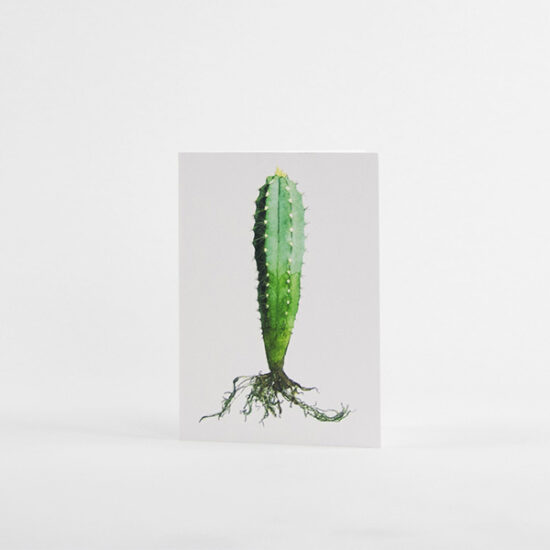 carte motif cactus pilosocereus avec enveloppe