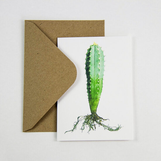 Carte postale cactus (Pilosocereus) avec enveloppe