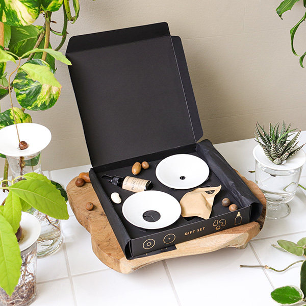 Coffret cadeau de luxe pour germination et boutures dans l'eau, avec coupelles en porcelaine