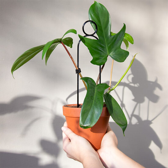 Perch support 30cm aluminium noir - Botanopia