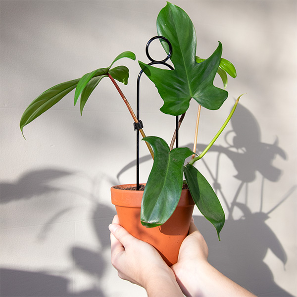 Perch support 30cm aluminium noir - Botanopia