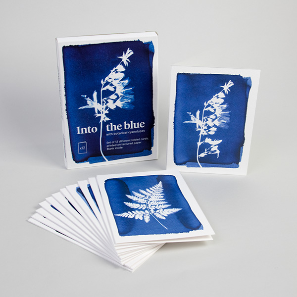 Pack de 12 cartes de voeux Cyanotype