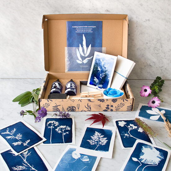 Stamps cyanotype kit - Paperfulshop