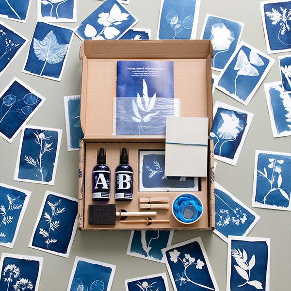 Cyanotype Kit, Diy Kit, Solar Printing Kit, Mushrooms Cyanotype