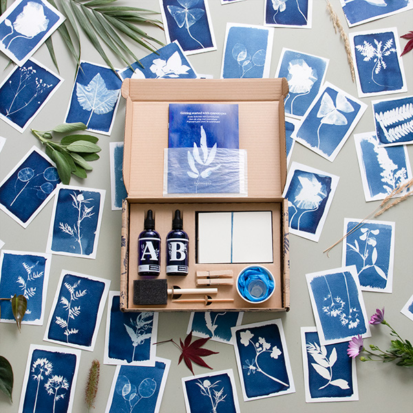 Cyanotype kit contents