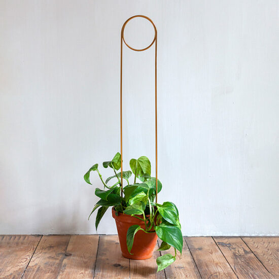 pin, support pour plante en laiton doré 70cm