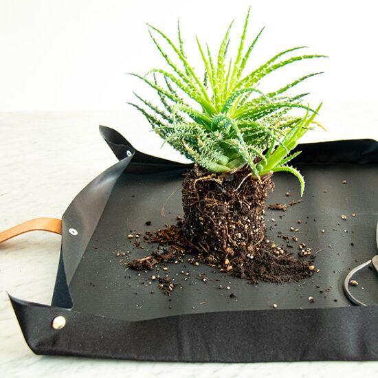 Potting tarp by Botanopia