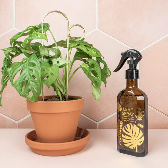 Leaf spray with plant by Botanopia