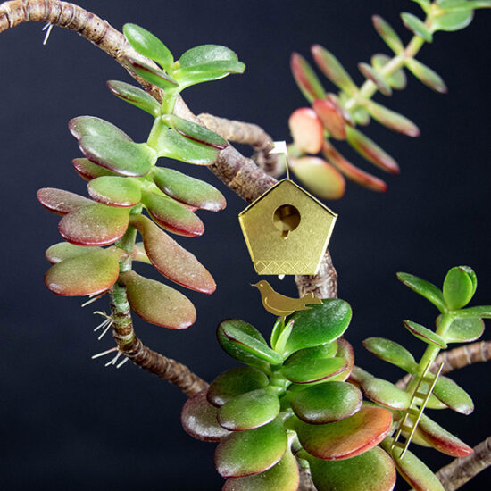 Tiny birdhouse by Botanopia