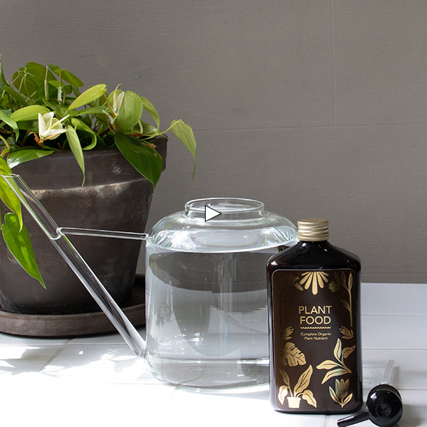 Complete Organic Plant Food 450ml Pump Bottle Botanopia