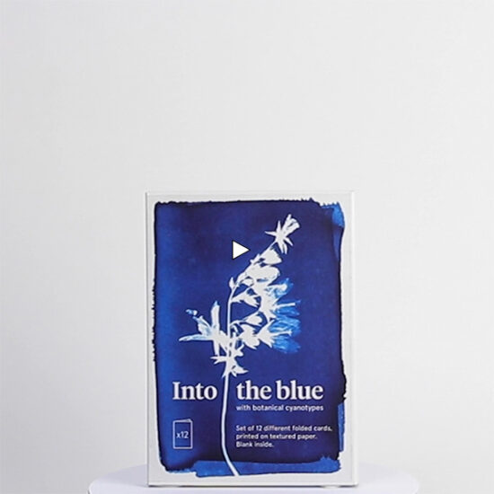 Video thumbnail cyanotype cards by Botanopia