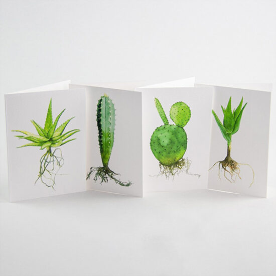 4 cartes cactus pour le prix de 3 Botanopia