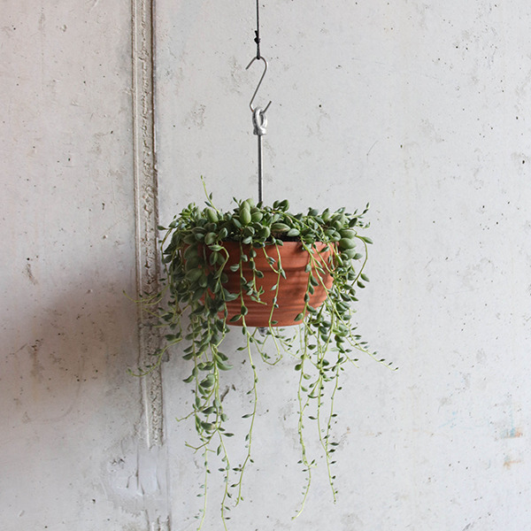 Hanging Cord & Cable Wire Kits  for Hanging Pictures Plants Ceramics
